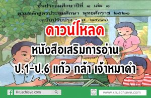 ดาวน์โหลดเลย หนังสือเสริมการอ่านป.1-ป.6 แก้ว กล้า เจ้าหมาดำ