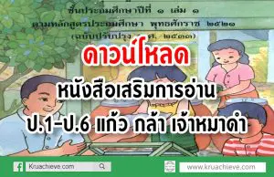 ดาวน์โหลดเลย หนังสือเสริมการอ่านป.1-ป.6 แก้ว กล้า เจ้าหมาดำ