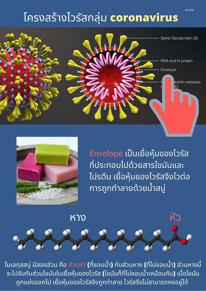 น้ำสบู่ทำลายไวรัสได้อย่างไร ?