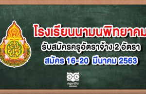 โรงเรียนนามนพิทยาคม