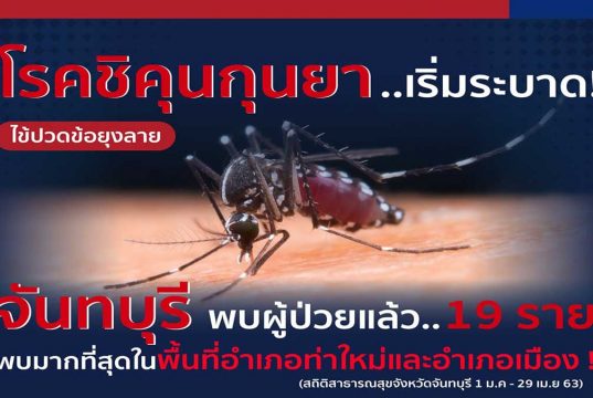 เตือน โรคชิคุนกุนยา หรือ โรคไข้ปวดข้อยุงลาย จันทบุรี พบแล้ว 19 ราย ยึดหลัก 3 เก็บ