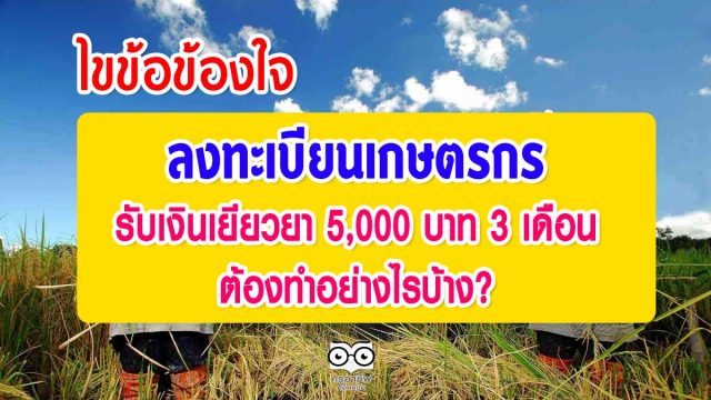 ไขข้อข้องใจ ลงทะเบียนเกษตรกร รับเงินเยียวยา 5,000 บาท 3 เดือน ไม่ให้เสียสิทธิ์ ต้องทำอย่างไรบ้าง ?