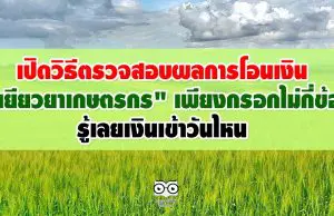 เปิดวิธีตรวจสอบผลการโอนเงิน "เยียวยาเกษตรกร" เพียงกรอกไม่กี่ข้อ ผ่าน www.เยียวยาเกษตรกร.com รู้เลยเงินเข้าวันไหน