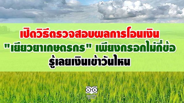 ตรวจเงินเยียวยาเข้าวันไหน เปิดวิธีตรวจสอบผลการโอนเงิน