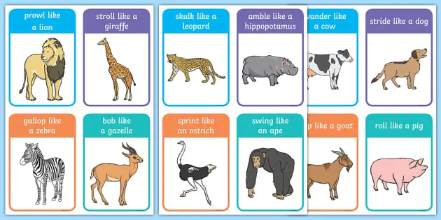 Animal Movement Cards