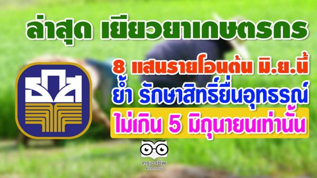 เยียวยาเกษตร0106 ล่าสุด เยียวยาเกษตรกร 8 แสนรายโอนต้น มิ.ย.นี้ ย้ำ รักษาสิทธิ์ยื่นอุทธรณ์ไม่เกิน 5 มิถุนายนเท่านั้น