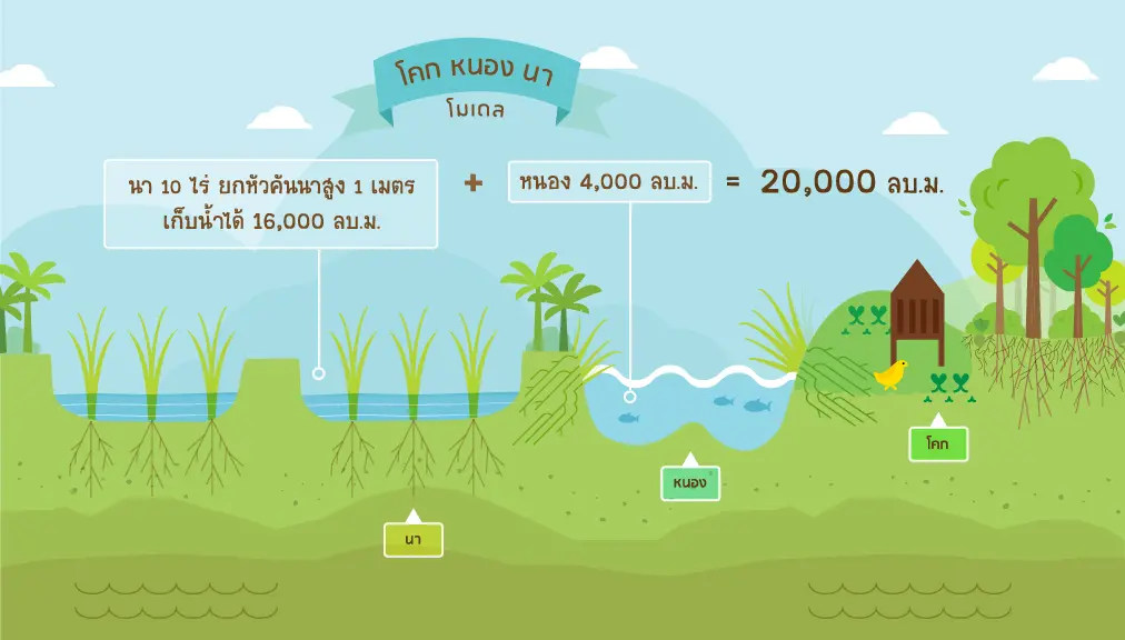 ทำความรู้จัก เกษตรทฤษฎีใหม่ ศาสตร์พระราชาสู่ "โคก หนอง นา โมเดล"