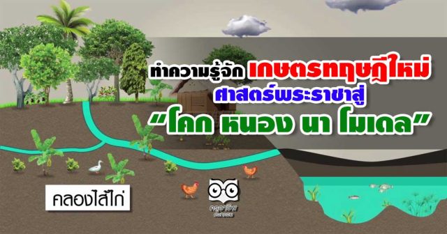 ทำความรู้จัก เกษตรทฤษฎีใหม่ ศาสตร์พระราชาสู่ “โคก หนอง นา โมเดล”