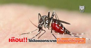 เตือน!! ไขัเลือดออกระบาด เลี่ยงอย่าให้ยุงกัด