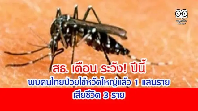 สธ. เตือน ระวัง! ปีนี้พบคนไทยป่วยไข้หวัดใหญ่แล้ว 1 แสนราย เสียชีวิต 3 ราย