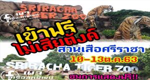 สวนเสือศรีราชาเปิดให้เข้าฟรีระหว่างวันที่ 10-13 ตุลาคม เพื่อระลึกถึงพระมหากรุณาธิคุณ และวันคล้ายวันสวรรคตของรัชกาลที่ 9