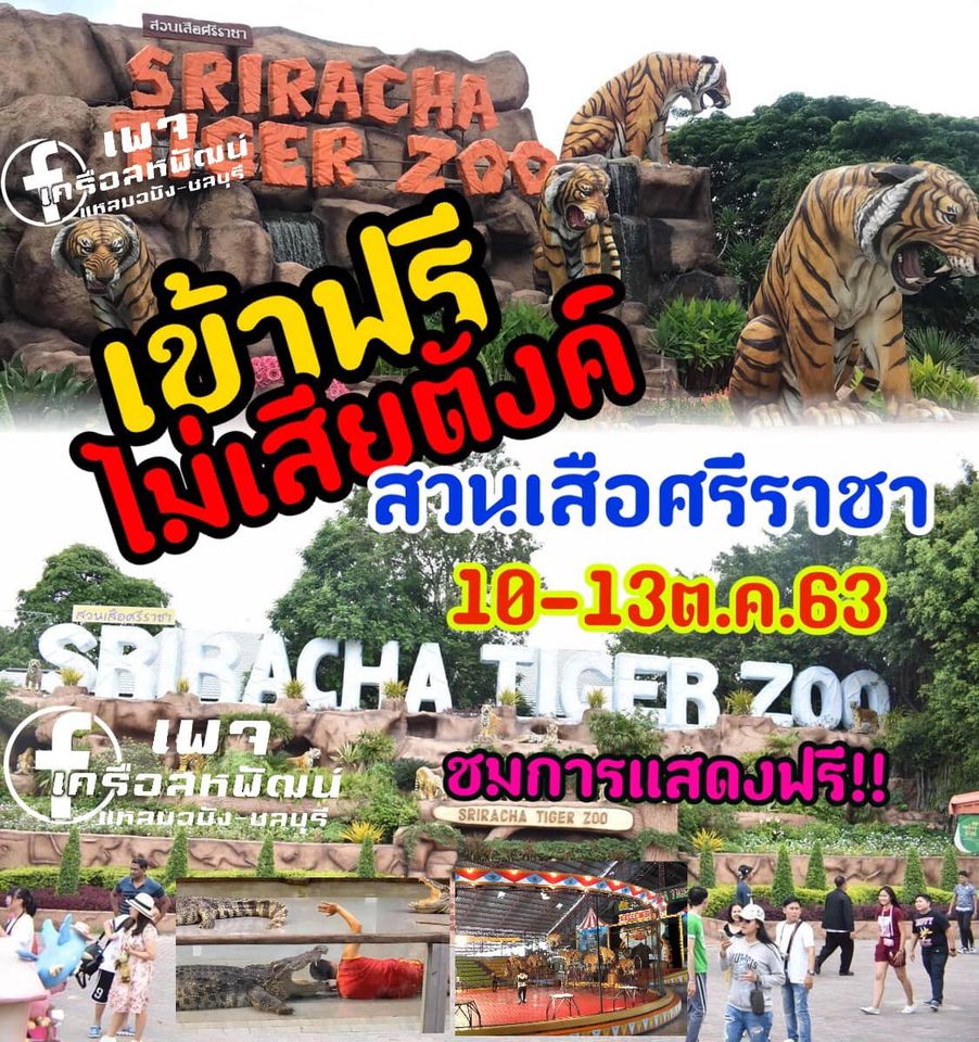 สวนเสือศรีราชาเปิดให้เข้าฟรีระหว่างวันที่ 10-13 ตุลาคม เพื่อระลึกถึงพระมหากรุณาธิคุณ และวันคล้ายวันสวรรคตของรัชกาลที่ 9