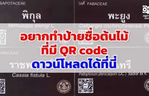 อยากทำป้ายชื่อต้นไม้ ที่มี QR code แต่ไม่รู้ว่าจะหา QR code มาใส่ในป้ายชื่อยังไง