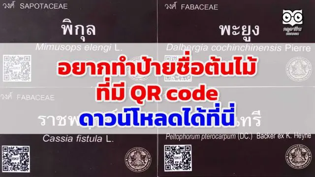 อยากทำป้ายชื่อต้นไม้ ที่มี QR code แต่ไม่รู้ว่าจะหา QR code มาใส่ในป้ายชื่อยังไง