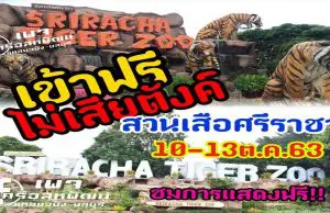 สวนเสือศรีราชาเปิดให้เข้าฟรีระหว่างวันที่ 10-13 ตุลาคม เพื่อระลึกถึงพระมหากรุณาธิคุณ และวันคล้ายวันสวรรคตของรัชกาลที่ 9