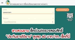 ชาวสวนยาง เช็คด่วน!! ตรวจสอบสิทธิ์ “ประกันรายได้ยาง” สูงสุด 60 บาท/กก. เช็คที่นี่