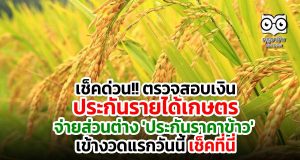 เช็คด่วน!! ตรวจสอบเงินประกันรายได้เกษตร จ่ายส่วนต่าง 'ประกันราคาข้าว' งวดแรกวันนี้ เช็คที่นี่
