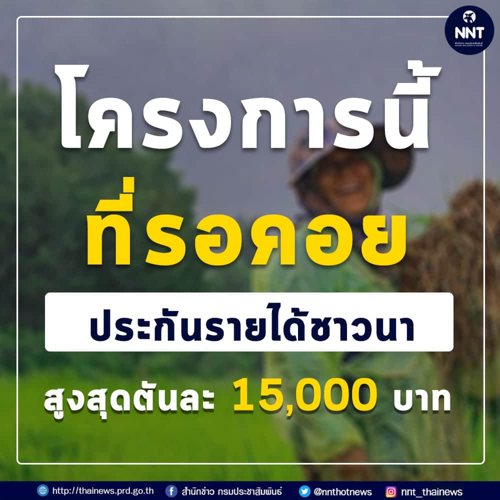 โครงการนี้ที่รอคอย "ประกันรายได้ชาวนา" ที่ปลูกข้าวระหว่างวันที่ 1 เม.ย. -​ 31 ต.ค. 63 สูงสุดตันละ 15,000 บาท