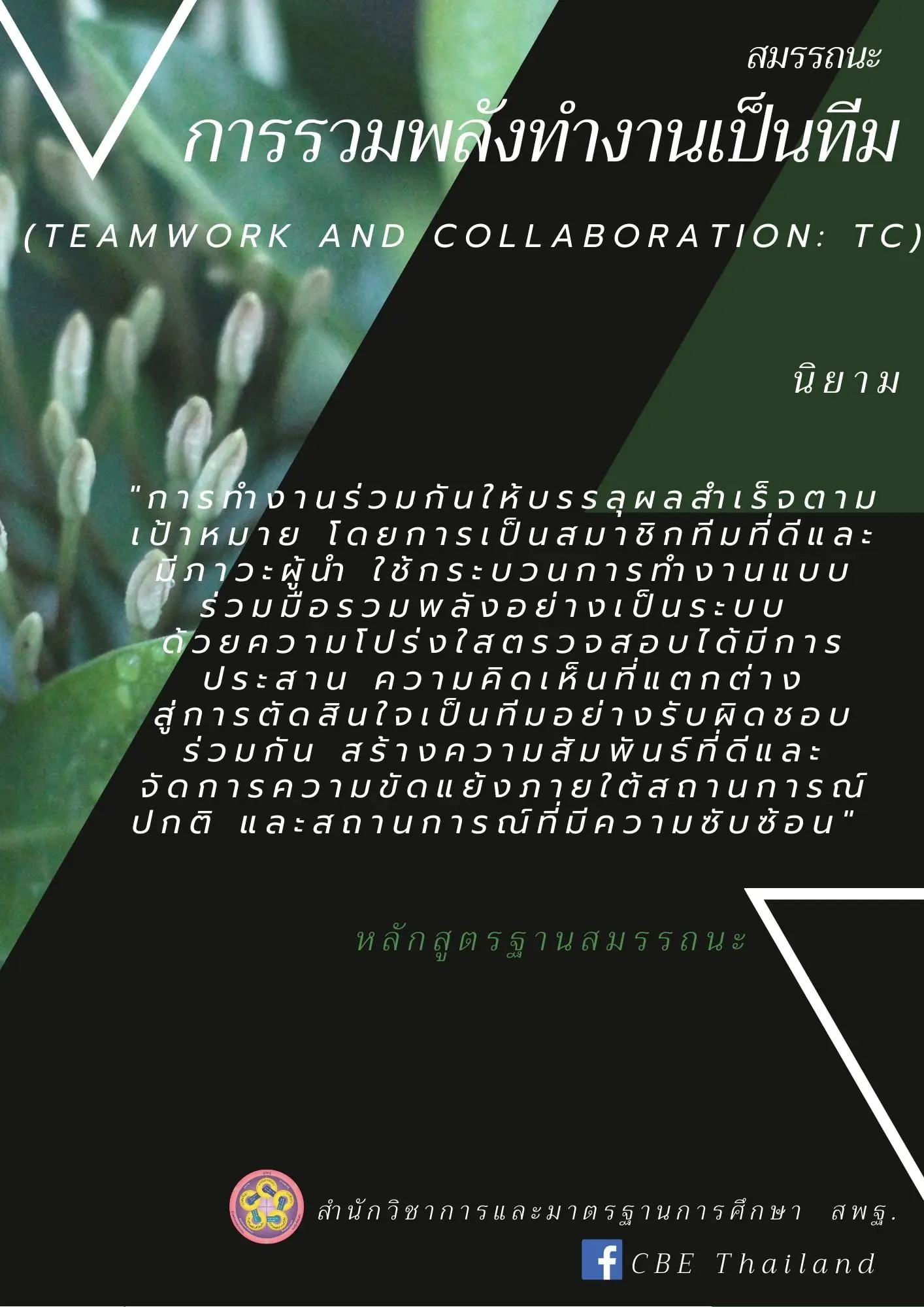 สมรรถนะการรวมพลังทำงานเป็นทีม (TC)