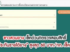 ชาวสวนยาง เช็คด่วน!! ตรวจสอบสิทธิ์ “ประกันรายได้ยาง” สูงสุด 60 บาท/กก. เช็คที่นี่