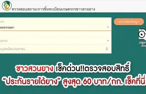 ชาวสวนยาง เช็คด่วน!! ตรวจสอบสิทธิ์ “ประกันรายได้ยาง” สูงสุด 60 บาท/กก. เช็คที่นี่