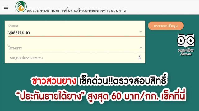 ชาวสวนยาง เช็คด่วน!! ตรวจสอบสิทธิ์ “ประกันรายได้ยาง” สูงสุด 60 บาท/กก. เช็คที่นี่