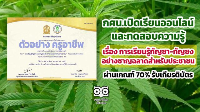 ขอเชิญเรียนออนไลน์ และทดสอบความรู้เรื่อง การเรียนรู้กัญชา-กัญชงอย่างชาญฉลาดสำหรับประชาชน ผ่านเกณฑ์ 70% รับเกียรติบัตร โดยสำนักงาน กศน.