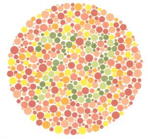 สายตาปกติ อ่านได้ 73 ตาบอดทุกสี ไม่สามารถอ่านได้