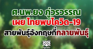 ศ.นพ.ยง ภู่วรวรรณ เผย ไทยพบโควิด19 สายพันธุ์อังกฤษที่กลายพันธุ์