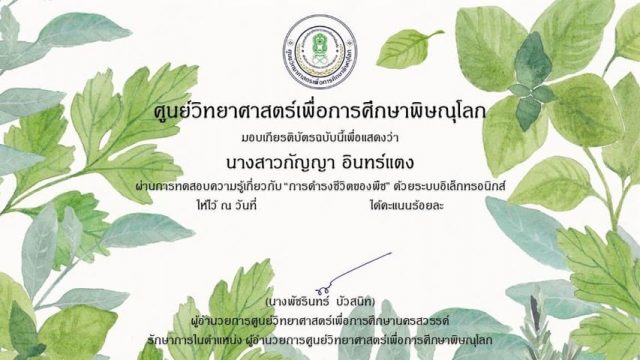 แบบทดสอบออนไลน์ เรื่อง “การดำรงชีวิตของพืช” ผ่านเกณฑ์ 80% รับเกียรติบัตรได้ที่ E-Mail โดยศูนย์วิทยาศาสตร์เพื่อการศึกษาพิษณุโลก