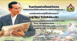 แบบทดสอบออนไลน์ เรื่อง "เศรษฐกิจพอเพียง" ผ่านเกณฑ์ 80% รับเกียรติบัตรออนไลน์ โดยโรงเรียนบ้านโนนศรีทอง สพป.ชย.1
