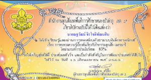 แบบทดสอบ ทบทวนความรู้เบื้องต้นเกี่ยวกับกิจกรรมลูกเสือ-เนตรนารี