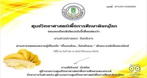 บทเรียน “เรื่องกล้วย...ไม่กล้วยนะ” โดยศูนย์วิทยาศาสตร์เพื่อการศึกษาพิษณุโลก ตอบคำถามถูกร้อยละ 80 ขึ้นไป รับเกียรติบัตรได้ที่ E-Mail
