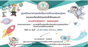 แบบทดสอบออนไลน์ เรื่อง “พลังงานหมุนเวียน” ผ่านเกณฑ์ 80% รับเกียรติบัตรได้ที่ E-Mail โดยศูนย์วิทยาศาสตร์เพื่อการศึกษาพิษณุโลก