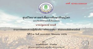 แบบทดสอบออนไลน์ เรื่อง ทรัพยากรดิน ผ่านเกณฑ์ 80% รับเกียรติบัตรทาง E-Mail โดยศูนย์วิทยาศาสตร์เพื่อการศึกษาพิษณุโลก