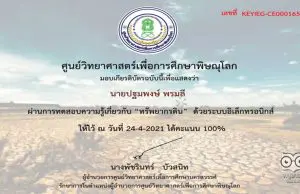 แบบทดสอบออนไลน์ เรื่อง ทรัพยากรดิน ผ่านเกณฑ์ 80% รับเกียรติบัตรทาง E-Mail โดยศูนย์วิทยาศาสตร์เพื่อการศึกษาพิษณุโลก