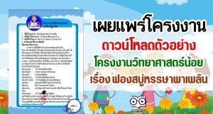 ดาวน์โหลดตัวอย่าง โครงงานวิทยาศาสตร์น้อย เรื่อง ฟองสบู่หรรษาพาเพลิน ไฟล์แก้ไขได้