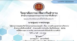 แบบทดสอบออนไลน์ เรื่อง การสร้างเอกสารทางวิชาการ โดยวิทยาลัยการอาชีพวารินชำราบ