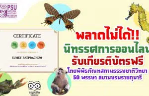 พลาดไม่ได้!! นิทรรศการออนไลน์ ความรู้เกี่ยวกับระบบนิเวศและสิ่งมีชีวิตในภาคใต้ของไทย รับเกียรติบัตรฟรี โดยพิพิธภัณฑสถานธรรมชาติวิทยา ๕๐ พรรษา สยามบรมราชกุมารี