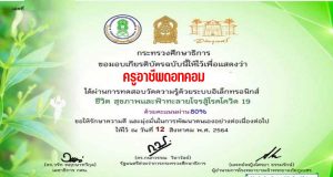 ขอเชิญเรียนออนไลน์และทำแบบทดสอบ เรื่อง ชีวิต สุขภาพ และฟ้าทะลายโจรสู้โรคโควิด 19 ทำแบบทดสอบได้ 80% ขึ้นไป รับเกียรติบัตรออนไลน์ ทางอีเมล์ โดยสำนักงาน กศน.