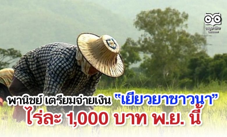 พานิชย์ เตรียมจ่ายเงินเยียวยาชาวนา ไร่ละ 1000 บาท พ.ย. นี้ พร้อมโครงการประกันรายได้ช่วยชาวนาต่อเนื่อง