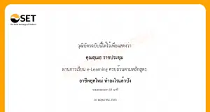 ขอเชิญอบรมออนไลน์ หลักสูตร อาชีพยุคใหม่ ทำอะไรแล้วปัง (WMD1009) รับเกียรติบัตรทันที โดยตลาดหลักทรัพย์แห่งประเทศไทย