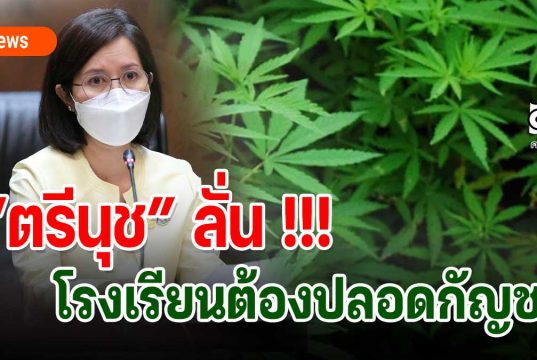 “ตรีนุช” ลั่น !!! โรงเรียนต้องปลอดกัญชา