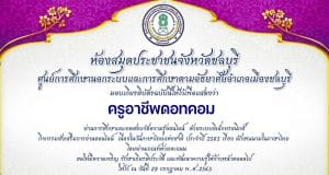 แบบทดสอบออนไลน์ เนื่องในวันภาษาไทยแห่งชาติ เรื่อง ลักษณนามในภาษาไทย ผ่านเกณฑ์รับเกียรติบัตรทางอีเมล โดยห้องสมุดประชาชนจังหวัดชลบุรี กศน.อำเภอเมืองชลบุรี สำนักงาน กศน. จังหวัดชลบุรี