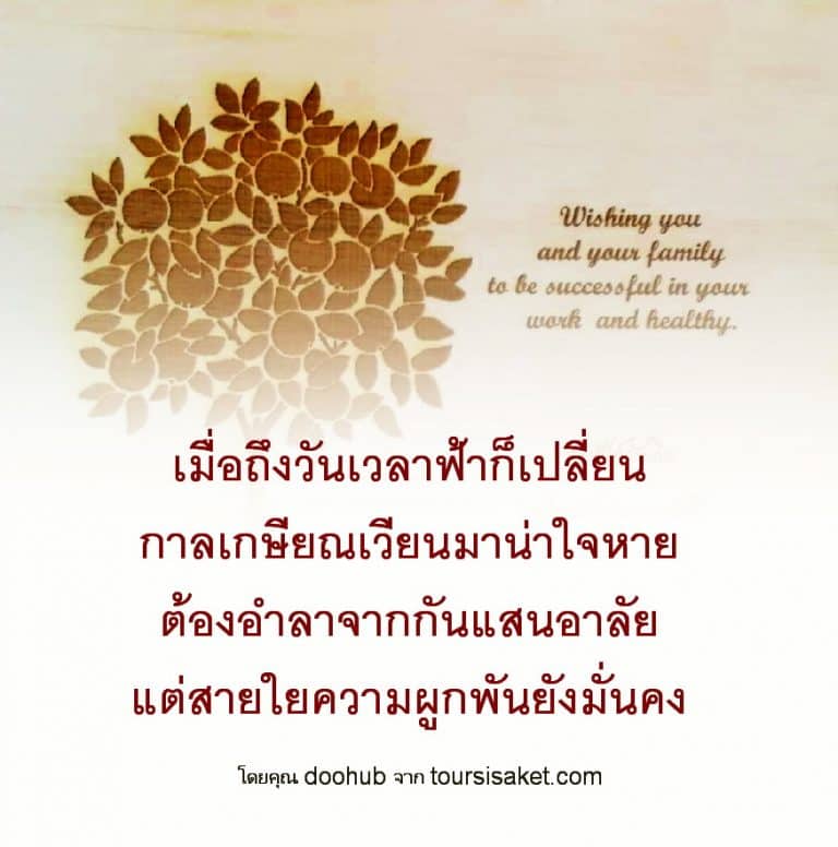 My Image 101