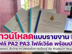 ดาวน์โหลดฟรี แบบรายงาน-แบบประเมินผลการพัฒนางานตามข้อตกลง (PA) ดาวน์โหลด PA2 PA3 doc ไฟล์เวิร์ด พร้อมปก