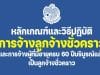 หลักเกณฑ์และวิธีปฏิบัติการจ้างลูกจ้างชั่วคราวจากเงินงบประมาณ และหลักเกณฑ์และวิธีปฏิบัติการจ้างผู้ที่มีอายุครบ 60 ปีบริบูรณ์แล้ว เป็นลูกจ้างชั่วคราว