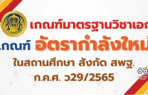 ก.ค.ศ. ว29/2565 เกณฑ์มาตรฐานวิชาเอก เกณฑ์อัตรากำลังใหม่ ตามมาตรฐานวิชาเอกในสถานศึกษา สังกัด สพฐ.