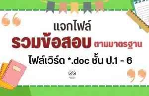 แจกฟรี รวมข้อสอบตามมาตรฐาน ตัวชี้วัด ไฟล์เวิร์ด *.doc ชั้น ป.1 - 6