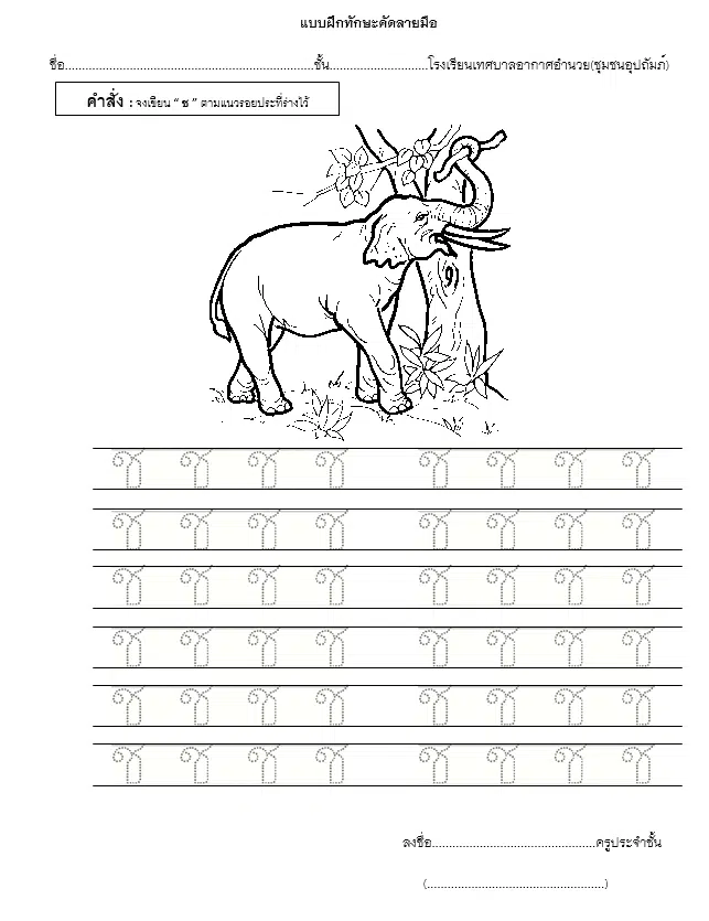 ดาวน์โหลดฟรี แบบฝึกทักษะคัดลายมือ ก-ฮ ไฟล์เวิร์ด แก้ไขได้ แบบฝึกคัดไทย doc